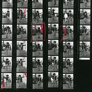 Contact Sheet Roll 11
